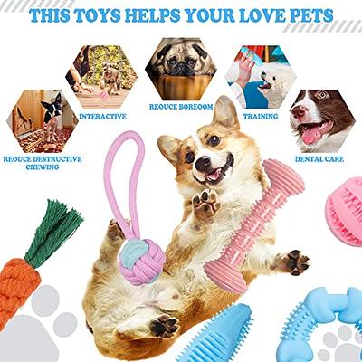 3PCS Dog Toys for Aggressive Chewers, Indestructible Natural Rubber Teeth  Cleaning for Small Medium Large Dogs, Outdoor Entertainment Interactive  Puppy Chew Toys for Training 