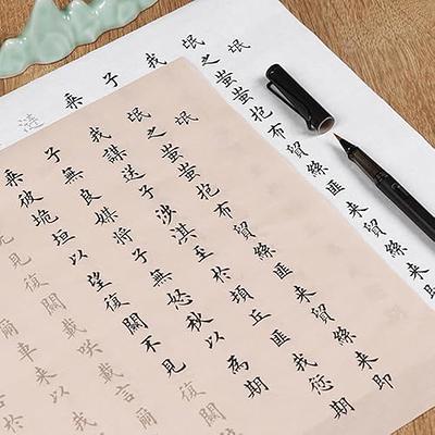 QinXingBaiHuoDian Chinese Copying Crafts Calligraphy practice art 