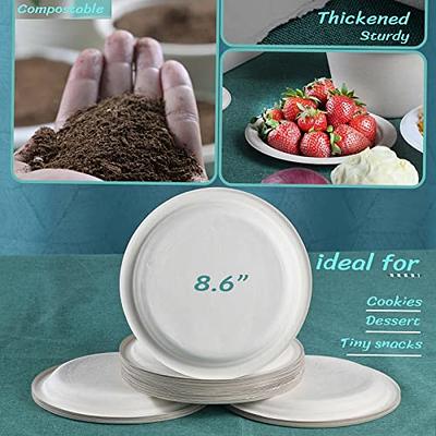 I00000 Heavy Duty 100% Compostable 10 Inch Paper Plates, 100 Pack  Disposable Plates Bagasse Plates Biodegradable Eco-Friendly Natural White  Sugarcane