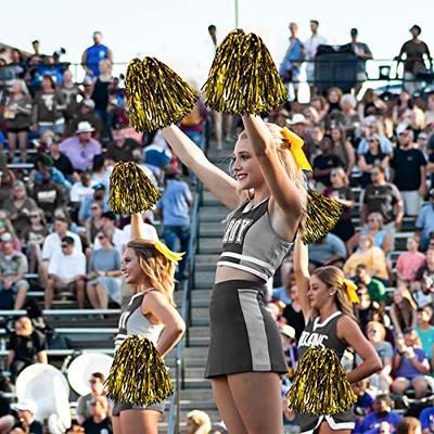 Lovecheer 2PCS Pom Poms Cheerleading Blue Metallic Cheer Pom Poms with  Baton Handle for Sports Team Spirit Party Cheering - Yahoo Shopping