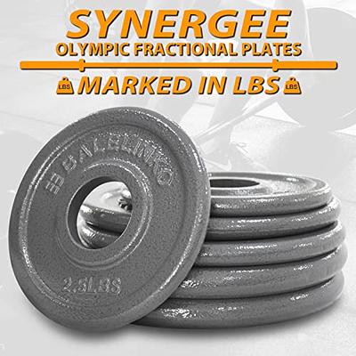 Synergee 1 Cast Iron Plates