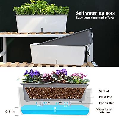 Cheap White Large Self Watering Plastic Planter Gardening Flower Pots -  China Plastic Flowerpot and Black Flowerpot price