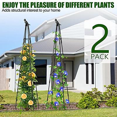  PLANTOP 2 Pack Garden Trellis for Climbing Plants