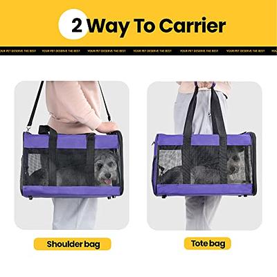 Conlun Cat Carrier Airline Approved, Soft-Sided Dog Carrier with Inner  Safety Leash, Pet Transport Carrier for Small-Medium Cats Puppies up to 15  Lbs, Collapsible Travel Kitten Carrier Bag -Blue M - Yahoo