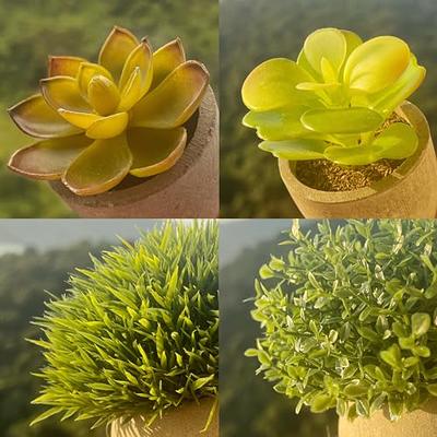 4pcs Artificial Plant Succulent Fake Hanging Plants Large Fake