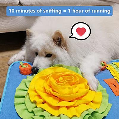 TOTARK Dog Snuffle Mat Enrichment Toys, Treat Dispensing Dog Toys, Chew  Rope Toys for Boredom Dog Puzzle Mental Stimulation Toys for Small Dogs