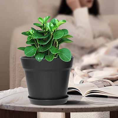 Plant Pots with Drainage Holes, Greaner 6inch Round Plastic Planters,  Mordern Matte Black Cactus, Flower, Succulents