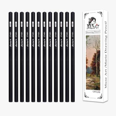 Professional Drawing Sketching Pencil Set 12Pcs Graphite Pencils for  Beginners Beginners Pro Artists Graphite Pencils Durable Not easy to break  Easy to erase Sketch pencil 2B 