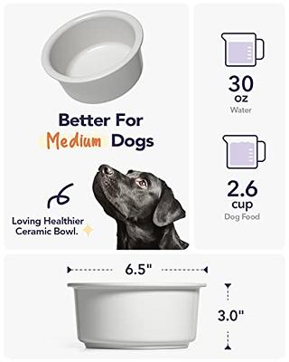 LE TAUCI PET Ceramic Dog Bowl, 2.6 Cups Dog Water Bowl, Weighted Dog Food Bowl  Dish