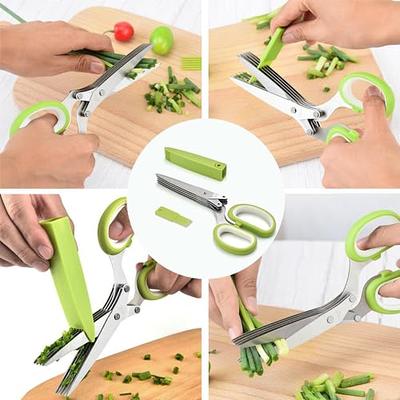 Herb Scissors Set w/ 5 Blades & Cover Kitchen Chopping Shear New Free  Shipping