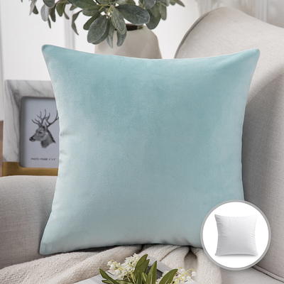 Phantoscope Soft Solid Square Velvet Decorative Throw Pillow Cover for Couch and Sofa, 22 inch x 22 inch, Off-White, 2 Pack