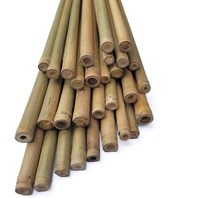 20PCS Garden Plant Stakes Green Bamboo Sticks Plant Support Stakes Wood  Bamboo