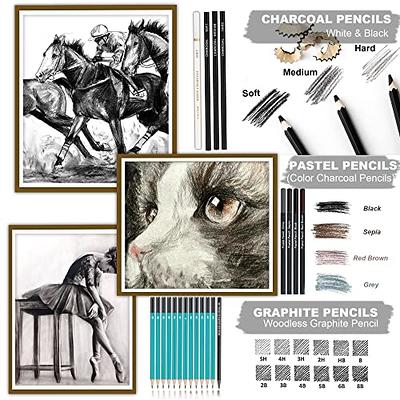 Drawing Pencils Set, 51 Pack Professional Sketch Pencil Set in Zipper Carry  Case, Art Supplies Drawing Set with Graphite Charcoal Sticks Tool Sketch  Book for Adults Kids Drawing Sketching 