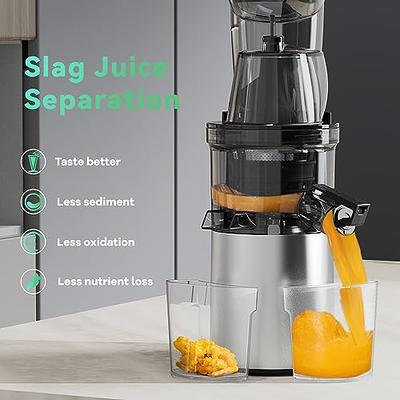 Juicer Machines, Slow Masticating Juicer for Fruits and Vegetables