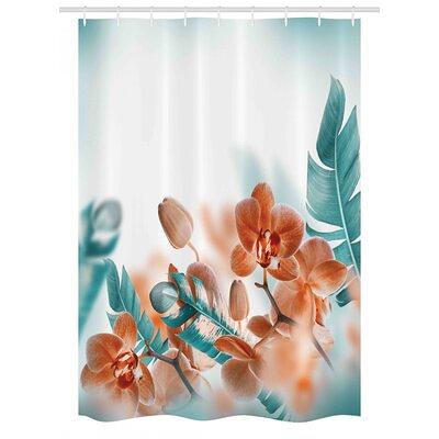 Tropical Fish Shower Curtain Hooks - Yahoo Shopping