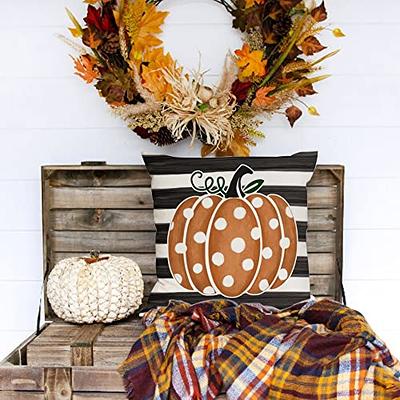 Fall Decor Pillow Covers 18x18 Set of 4 Pumpkin Truck Farmhouse Decorations  Fall Outdoor Pillow Covers Hello Fall Throw Cushion Case Fall Thanksgiving  Decorative Pillows for Couch Sofa 