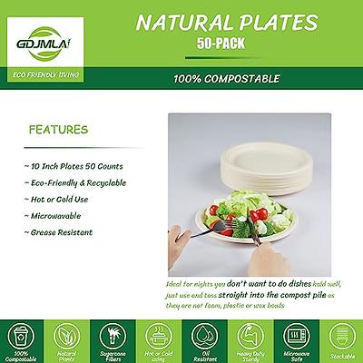 EconoHome 9 inch Compostable Plates 125-Pack - Eco-Conscious Disposable Plates Made of Bagasse or Sugarcane Fiber - Microwave, Refrigerator-Safe 