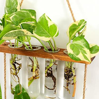 Hydroponic Plants Terrarium Test Tube Vase Flower Pots in Wood Stand