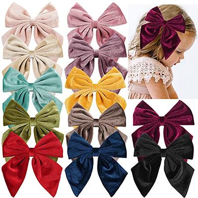 2PCS Velvet Hair Bows Brown Hair Ribbon Clips Big Fall Alligator Clips Hair  Accessories for Women Girls Toddlers Kids Baby