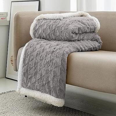 Bedsure Fleece Throw Blanket for Couch Grey - Lightweight Plush Fuzzy Cozy  Soft Blankets and Throws for Sofa, 50x60 inches