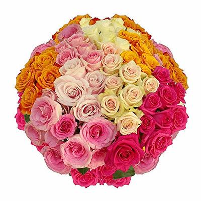 Single Rose Sleeve Bouquet Bags For Flowers Single Floral Packaging Bag  Single Flower Wrapping Paper Clear Flower Bouquet Sleeves For Mother's Day  Valentine's Day Wedding Birthday Gift (200 Pcs) - Yahoo Shopping