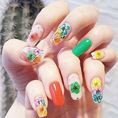 3D Nail Dried Flowers Sticker Set CHANGAR Real Dried Flowers for Nail Art &  Resin Craft DIY Five Petal Flower Leaf Gypsophila Dry Flower Nail Art  Decoration Kits(2 Boxes) - Yahoo Shopping