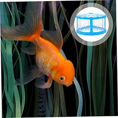  Glass Fish Bowl Small Fish Tank,Creative Fish-Shaped Goldfish  Tank Aquarium Tank,Premium Fish Bowls Fish Container Aquarium Home Office  Decor : Pet Supplies