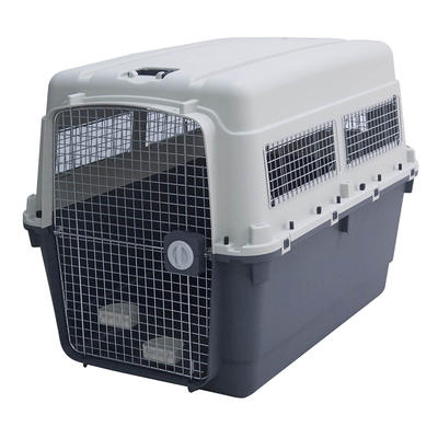 Retriever 1 Door Plastic Portable Pet Carrier, Gray