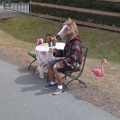 Crazy images caught on Google Street View