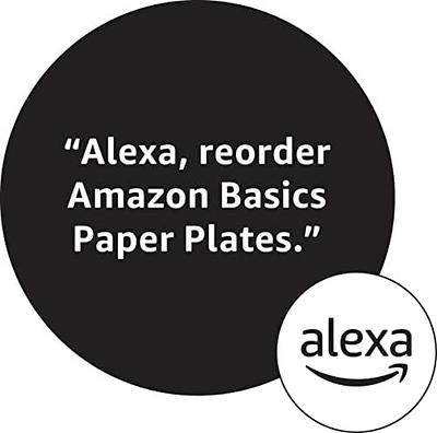 Basics Everyday Paper Plates, 10 inch, Disposable, 150 Count