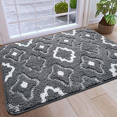 DEXI Indoor Door Mat, 36X24 Non-Slip Low-Profile Entrance Rug, Absorbent  Machi