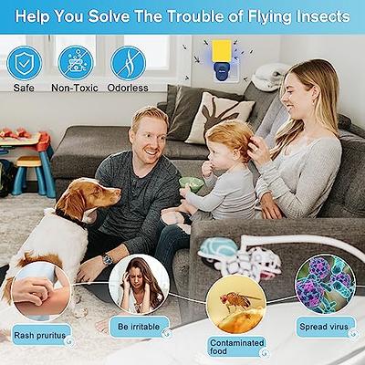 Bug Zapper Indoor, Plug-in Mosquito Killer Trap, Electric Little Gnats Fly  Trap for House, Mini Insect Killer Light Eliminates Flying Pests for Home  (2 Pack) A-blue