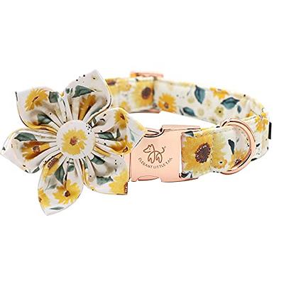 Floral Girl Dog Collar，Cotton Dog Collars for Dogs Female Dog Collar with  Flower Fall Cute Dog Collars with Quick Release Buckle Puppy Collars Pet  Dog Collar for Small Medium Large Dogs 