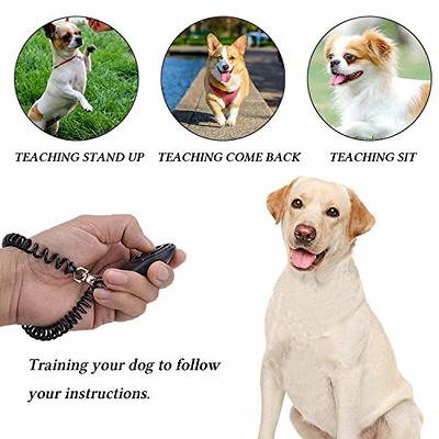 Training Dog treat pouch