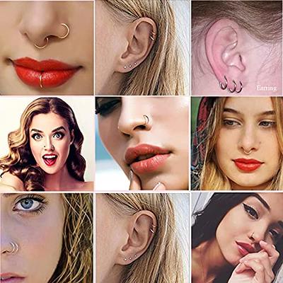 Buy 16G Bat Hinged Segment Ring/hinged Nose Ring/septum Ring/hinged  Clicker/cartilage Earring/nose Ring Hoop/halloween Piercing/black Friday  Online in India - Etsy