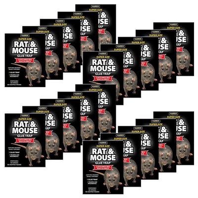 Harris Rat and Mouse Glue Trap Rodent Trap (Non-Lethal) in the Animal &  Rodent Control department at