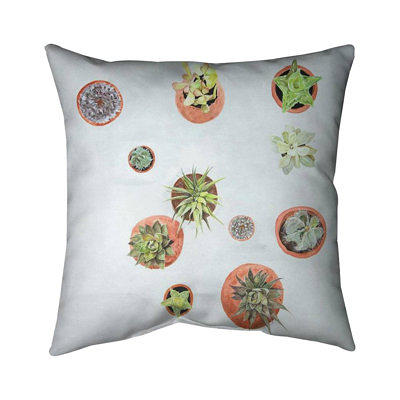 Indoor & Outdoor Square Throw Pillows