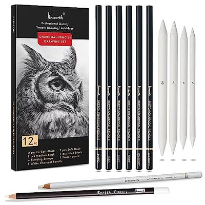 KALOUR Drawing Sketching Pencil Set, 36 Pro Art Pencil Kit, 12 Graphite  Pencils (8B-5H), Black & White Charcoal Pencils, Charcoal Sticks, Stumps,  Eraser, Sharpener, Tutorial, Art Supplies - Yahoo Shopping