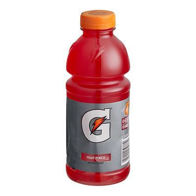 Gatorade G Series Thirst Quencher, Perform, Fruit Punch - 20 fl oz