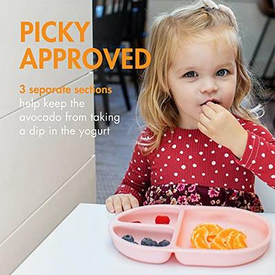 ANARI Baby Led Weaning Supplies  Divided Silicone Suction Toddler