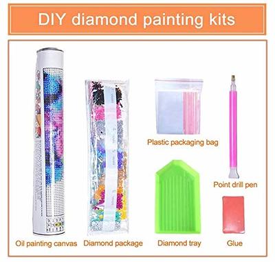  NAIMOER Gnomes Diamond Painting Kits for Adults - Full Drill  Daisy Diamond Painting Kits, DIY 5D Diamond Painting Flowers Gnomes Swing Diamond  Art Kits Crystal Craft for Home Wall Decor 30x40cm