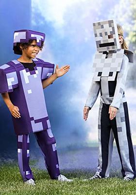 Disguise Men's Minecraft Armor Classic Adult Costume, Blue, One