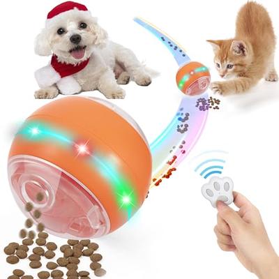 PupPod Gaming, Training, and Enrichment System for Dogs - Positive  Reinforcement Puzzle Toy, Video Feeder, and Mobile App