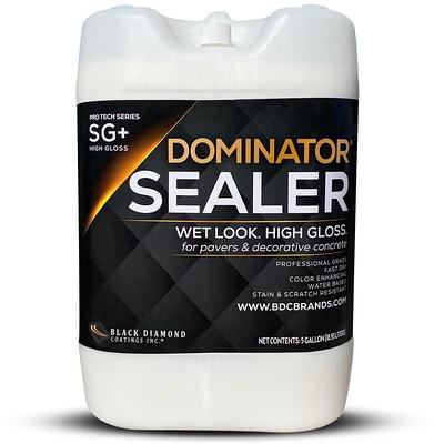 Armor AR500 Solvent Based High Gloss Acrylic Concrete Sealer and Paver  Sealer