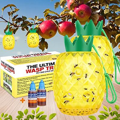 Indoor and Outdoor Fruit Fly Traps Yellow Sticky Plant Bug Fungus Fly Trap  Outdoor, Hanging Traps (48-Pack) B07SYJKPY9 - The Home Depot