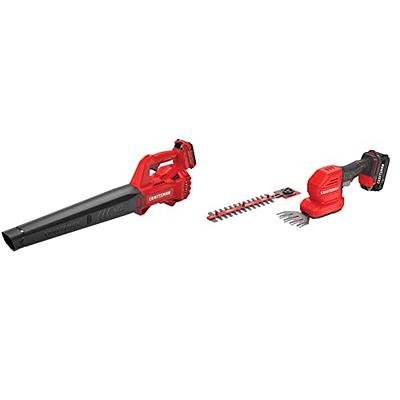 20V Max* Leaf Blower And String Trimmer Combo Kit