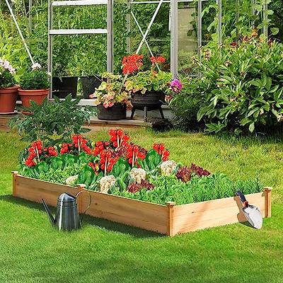 Omelaza Outdoor Wooden Raised Garden Bed Patio Planter Kit Box