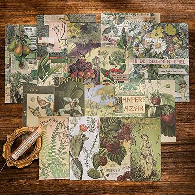 Scrapbooking Supplies Kit, Vintage Botanical Aesthetic Scrapbook Kit for  Bullet Junk Journal, Stationery, A6 Grid Notebook, Flower DIY Journaling  Supplies, Birthday Craft Gift Teen Girl Kid Women - Yahoo Shopping