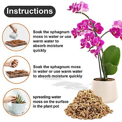 5.3oz Natural Sphagnum Moss Orchid Potting Mix for Orchid