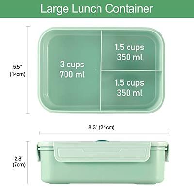 Better Bento Lunch Boxes & Accessories for kids and adults - Caperci